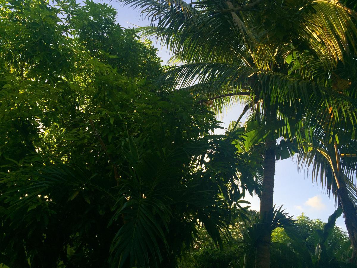 Yaad Hostel Montego Bay Kültér fotó