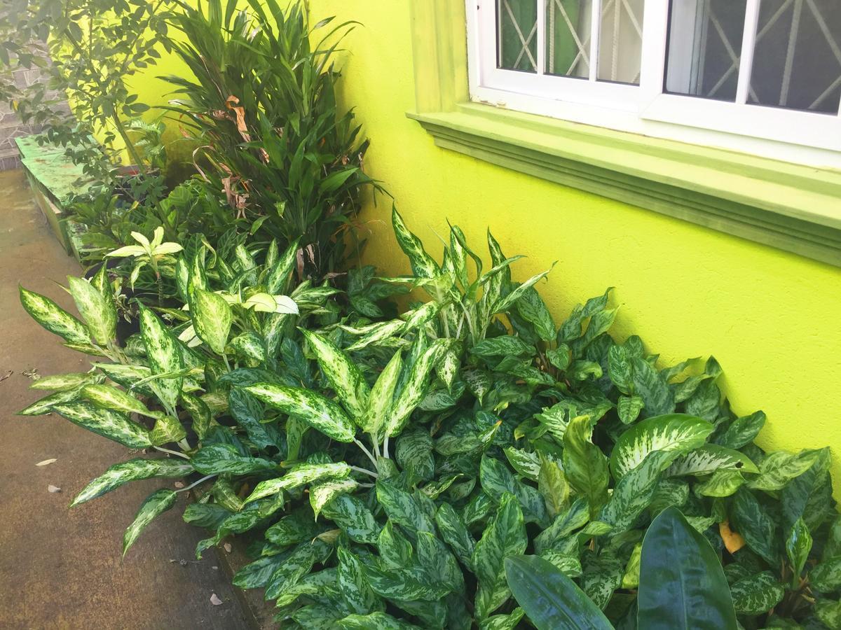 Yaad Hostel Montego Bay Kültér fotó